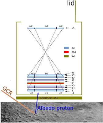 Primary and albedo protons detected by the Lunar Lander Neutron and Dosimetry experiment on the lunar farside